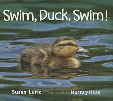 Swim, Duck, Swim! by Susan Lurie