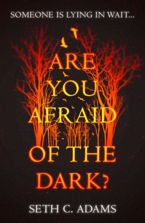 Are You Afraid of the Dark?