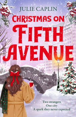 Brand New Christmas Romance from Julie Caplin