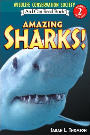 Amazing Sharks!