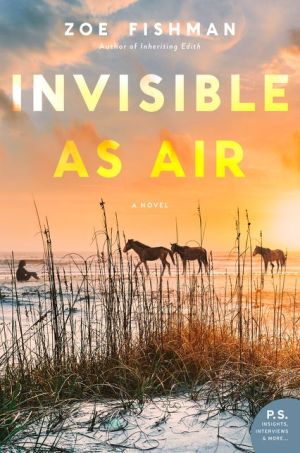 Invisible as Air