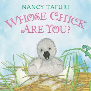 Whose Chick Are You? Board Book