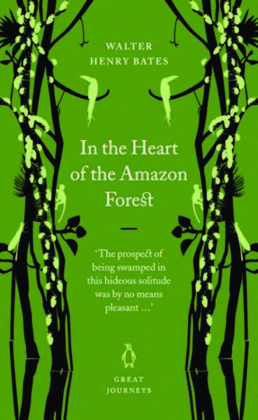 In the Heart of the Amazon Forest