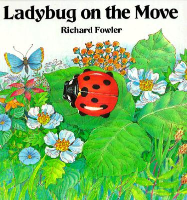 Ladybug on the Move