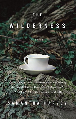 The Wilderness