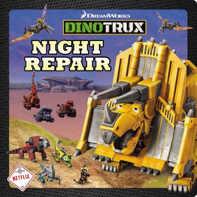 Night Repair