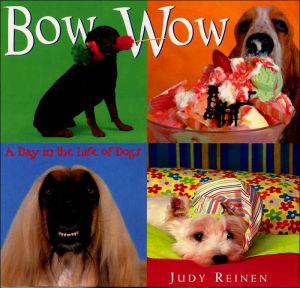 Bow Wow: A Day in the Life of Dogs