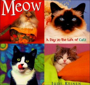 Meow: A Day in the Life of Cats