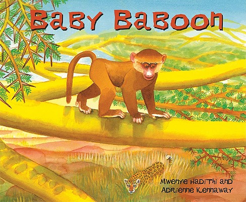 Baby Baboon