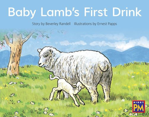 Baby Lamb's First Drink