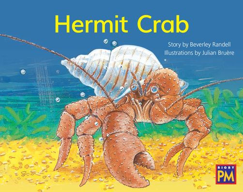 Hermit Crab