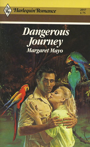 Dangerous Journey