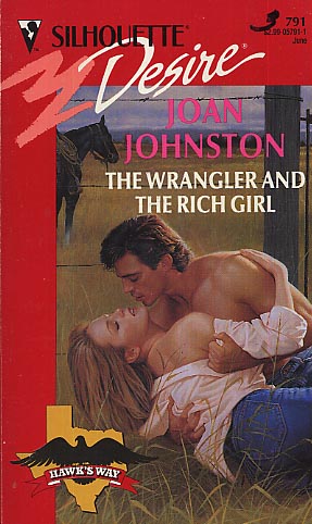 The Wrangler and the Rich Girl