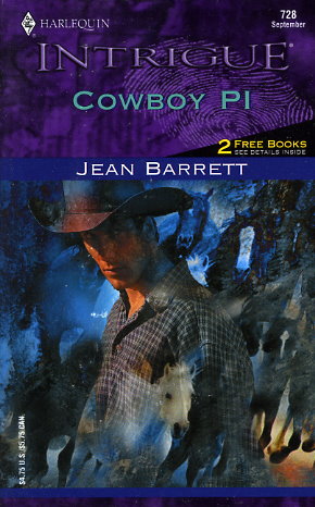 Cowboy PI