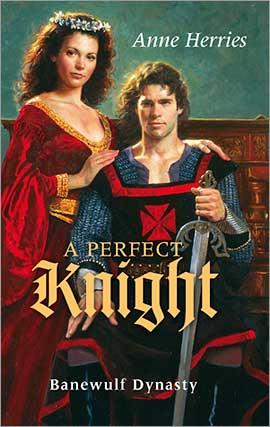 A Perfect Knight