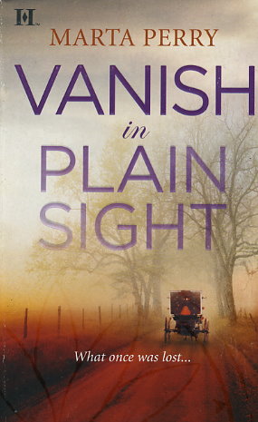 Vanish in Plain Sight