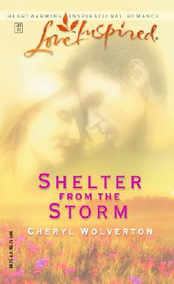 Shelter from the Storm