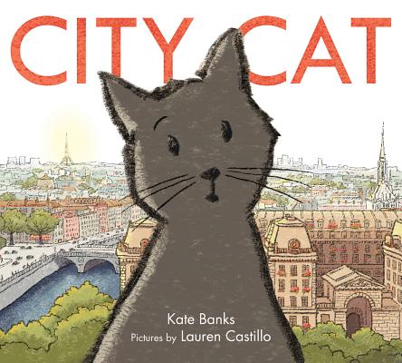 City Cat