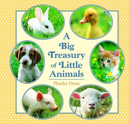 Big Treasury of Little Animals