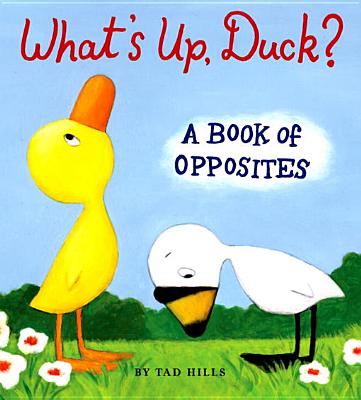 What's Up, Duck?: A Book of Opposites