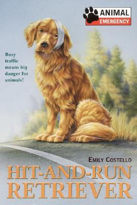 Hit-and-Run Retriever