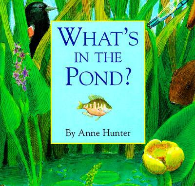 What's in the Pond?