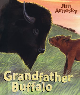 Grandfather Buffalo