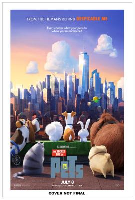 Secret Life of Pets Chunky Crayon Plus Stickers