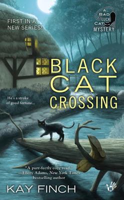 Black Cat Crossing