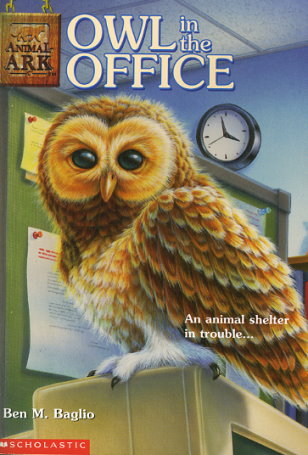 Owl in the Office