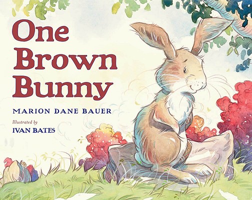 One Brown Bunny