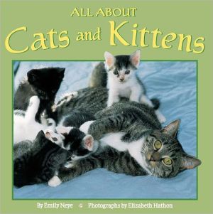 All about Cats and Kittens