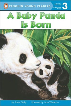 A Baby Panda Is Born