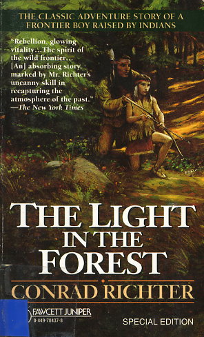 Light in the Forest