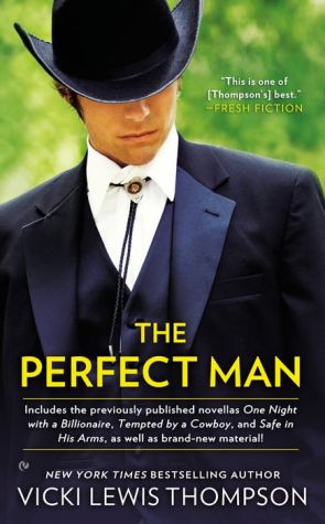 The Perfect Man