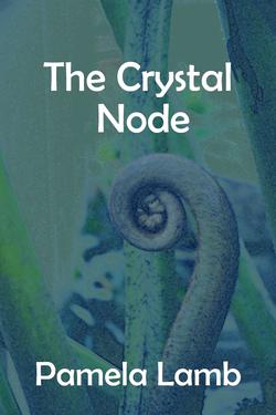 The Crystal Node