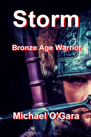 Bronze Age Warrior