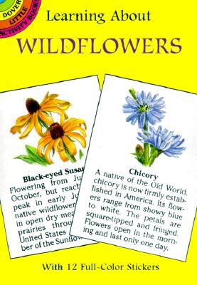 Learning about Wildflowers