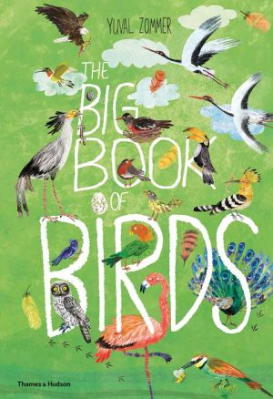 The Big Book of Birds