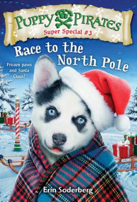 Race to the North Pole