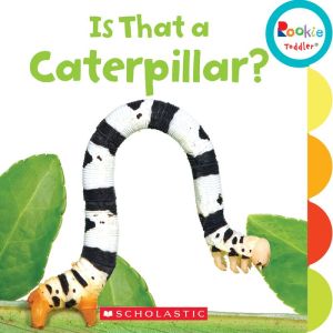 Is That a Caterpillar?