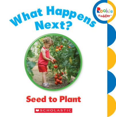 What Happens Next? Seed to Plant