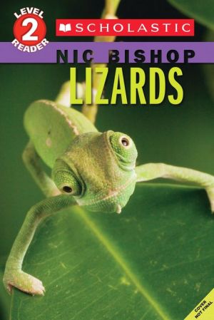 Lizards