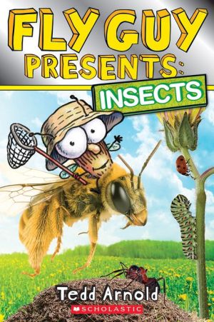 Insects