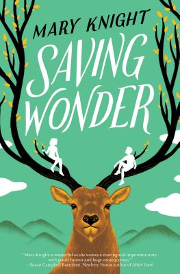 Saving Wonder