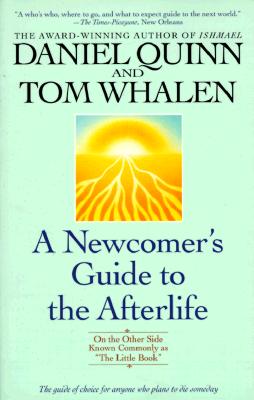 A Newcomer's Guide to the Afterlife