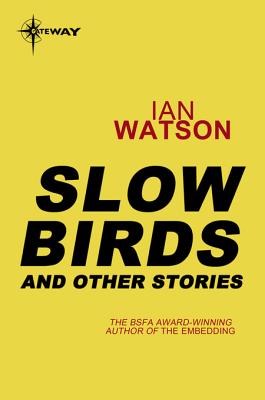 Slow Birds