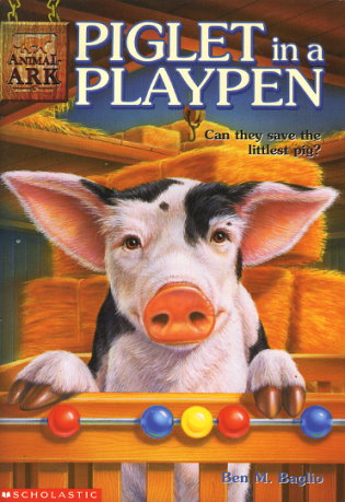 Piglet in a Playpen
