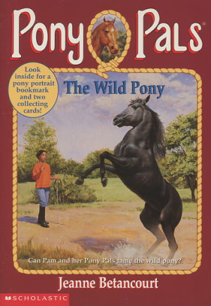 The Wild Pony