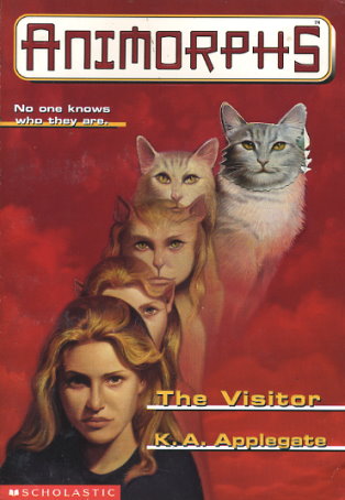 The Visitor